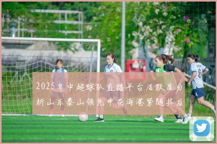 2025年中超球队直播平台活跃度分析山东泰山领先申花海港紧随其后