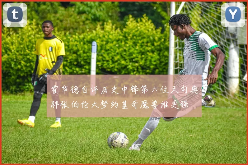 霍华德自评历史中锋第六位天勾奥胖张伯伦大梦约基奇魔兽谁更强