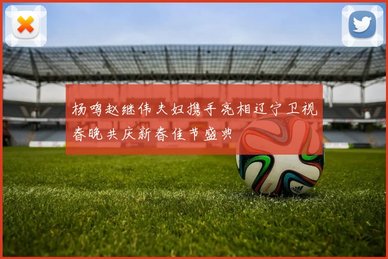 杨鸣赵继伟夫妇携手亮相辽宁卫视春晚共庆新春佳节盛典