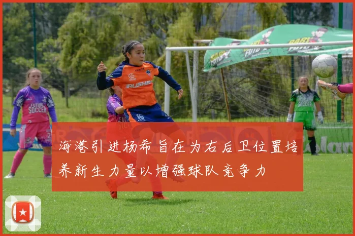 海港引进杨希旨在为右后卫位置培养新生力量以增强球队竞争力
