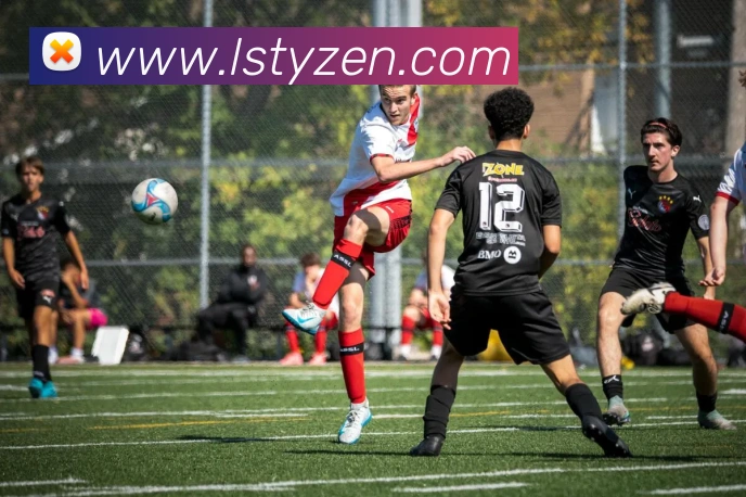 雷速体育平台生态图